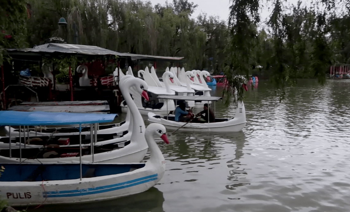 Many boats in from of swans available for you to ride over burnham lagoon in burnham park baguio city philippines